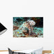 Malaysia, Octopus Cyanea Diguising Itself As A Part Of The Coral Reef Wall Mural
