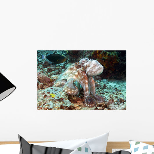 Malaysia, Octopus Cyanea Diguising Itself As A Part Of The Coral Reef Wall Mural