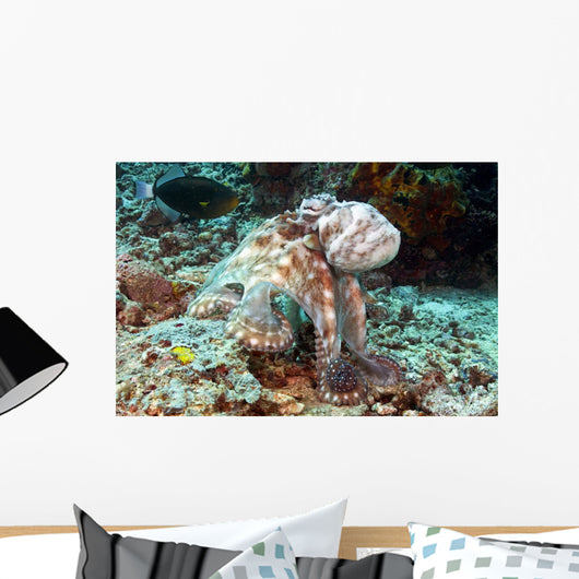 Malaysia, Octopus Cyanea Diguising Itself As A Part Of The Coral Reef Wall Mural