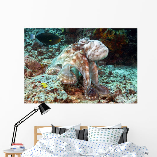 Malaysia, Octopus Cyanea Diguising Itself As A Part Of The Coral Reef Wall Mural