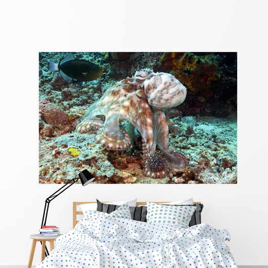 Malaysia, Octopus Cyanea Diguising Itself As A Part Of The Coral Reef Wall Mural