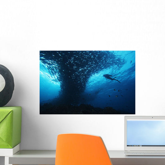 Micronesia, Palau, Scuba Diver With Schooling Bigeye Jacks Wall Mural