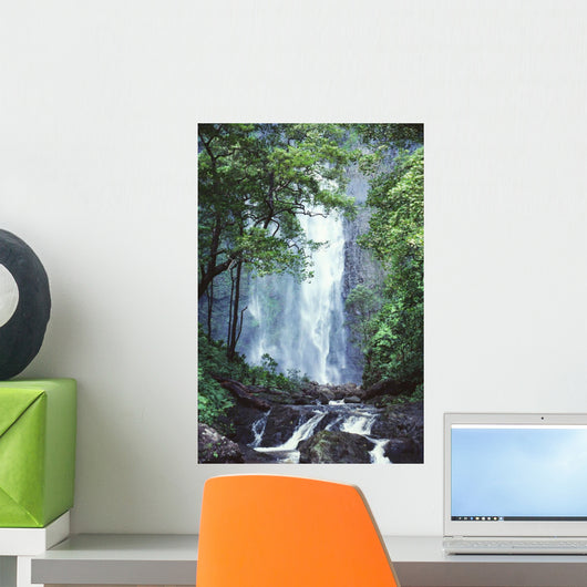 Trees Overlook Stream In Foreground Wall Mural