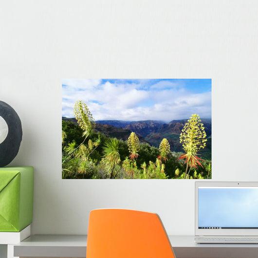 Hawaii, Kauai, Waimea Canyon, Iliau Plant, Found Only On Kauai Wall Mural