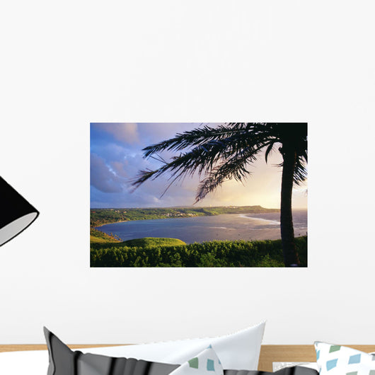 Silhouette Of Palm Tree Wall Mural