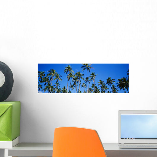 Grove Of Palm Trees, Bright Blue Sky, Panoramic Wall Mural