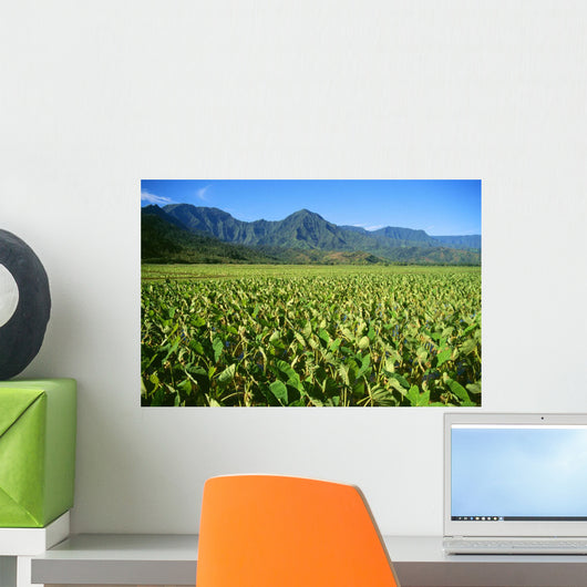 Hawaii, Kauai, Hanalei Valley, Close-Up Wet Taro Farm Wall Mural