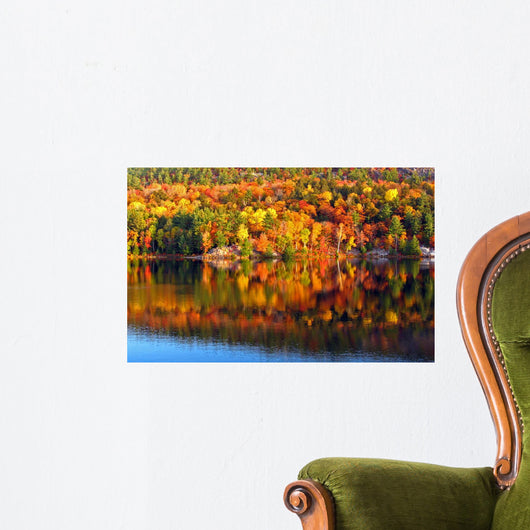 Morning at the Lake 3 Wall Mural