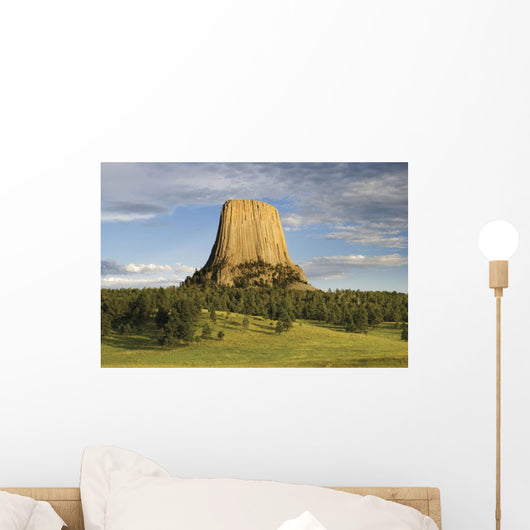 Devils Tower National Monument Wall Mural
