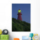 Red Lighthouse Illuminated Wall Mural