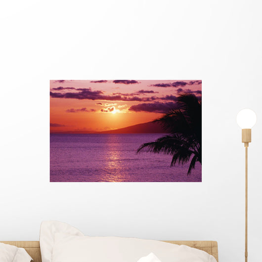 Hawaii, Maui, Beautiful Tropical Sunset With Palm Tree Wall Mural