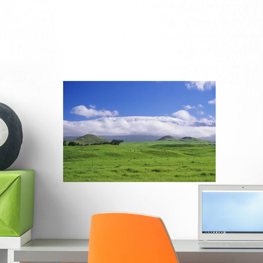 View Of Snowcapped Mauna Kea From Lush Rolling Hills Below Wall Mural