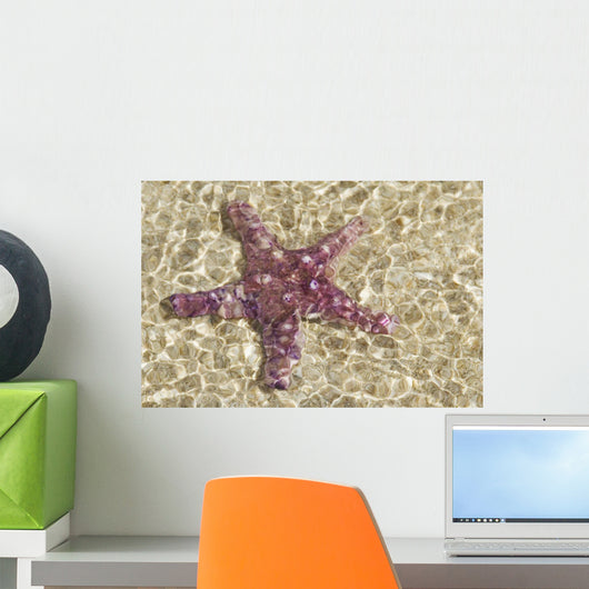 Close-Up Of Purple Starfish Seen Through Crystal Clear Rippling Water Wall Mural