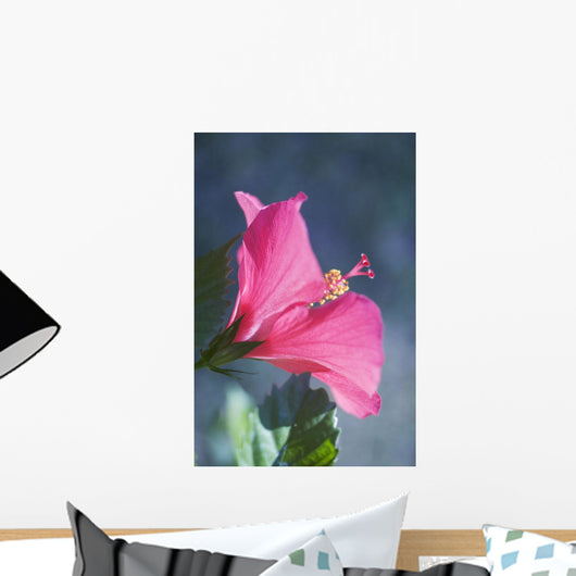 Close-Up Of Beautiful Bright Pink Hibiscus Wall Mural