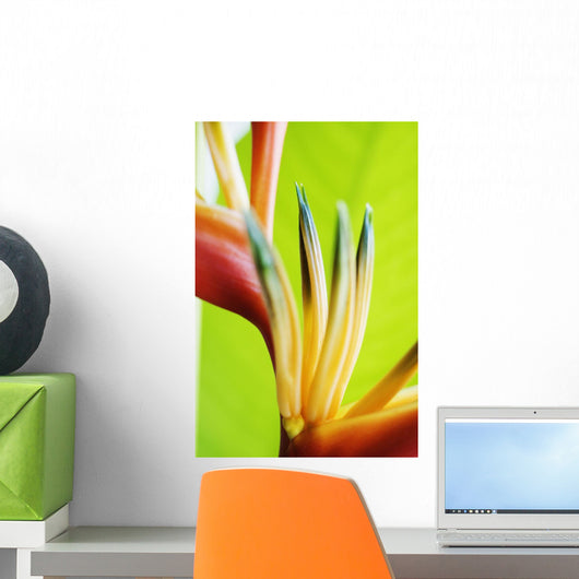 Absttract Close-Up View Of Heliconia Wall Mural