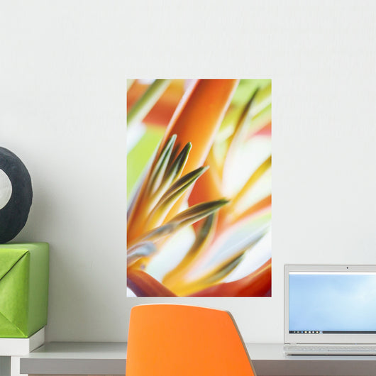 Abstract Close-Up View Of Heliconia Wall Mural