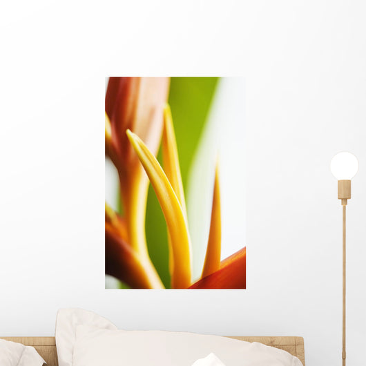 Abstract Close-Up View Of Heliconia Wall Mural