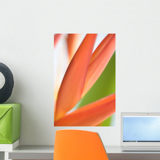 Absttract Close-Up View Of Heliconia Wall Mural
