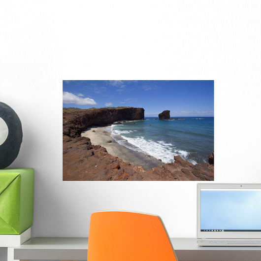 View Of Rocky Coastline And Beach Wall Mural