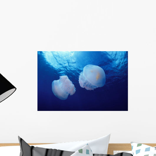 Marshall Islands, Kwajalein Atoll, Pair Of Jellyfish Wall Mural