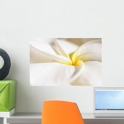 Extreme Close-Up Of White And Yellow Plumeria Flower From Side View Wall Mural