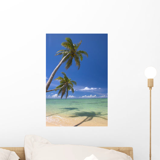Palm Trees Lean And Cast Shadow On Beach Wall Mural