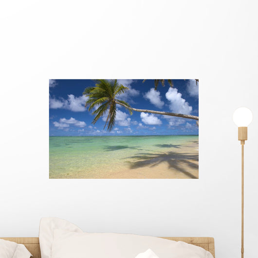Lone Palm Tree Leaning Over Beach With Shadow Wall Mural