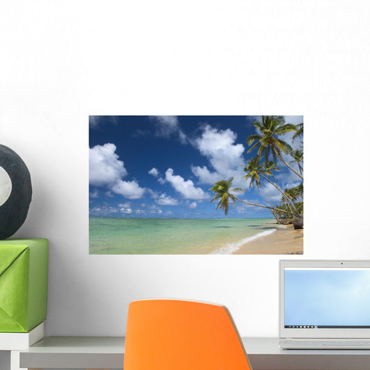 Hawaii, Palm Tree Leaning Over Beach, Polarized Sky, Turquoise Ocean Wall Mural