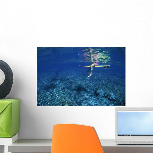 Reflection Wall Mural