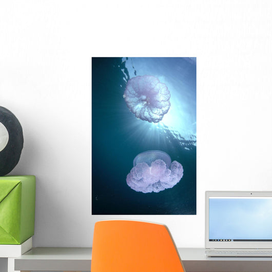 Pair Of Jellyfish Near Surface With Sunburst A88G Wall Mural