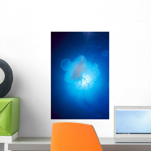 Australia, Jellyfish Illuminated By Sunburst A88J Wall Mural