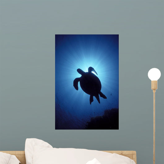 Hawaii, Green Sea Turtle Silhouetted, Sunburst View From Below A77C Wall Mural