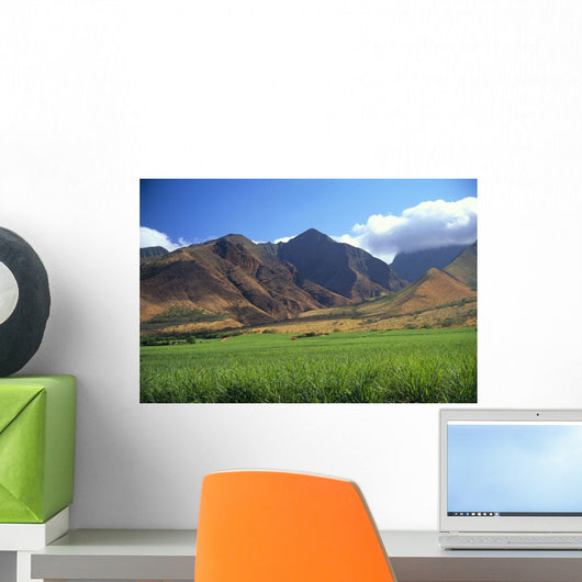 Hawaii, Maui, Mountains, Cane Fields A48A Wall Mural