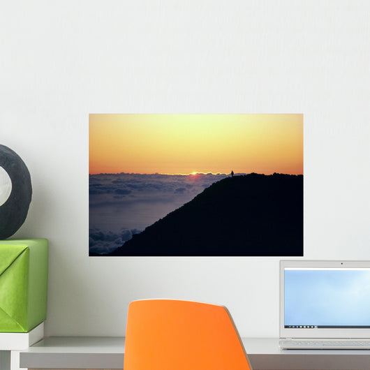 Above Clouds A46D Wall Mural
