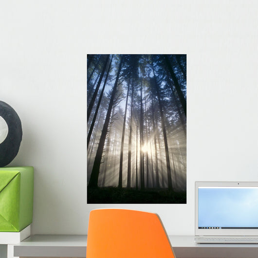 Trees In Forest A25H Wall Mural