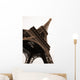 Eiffel Tower Paris Wall Mural