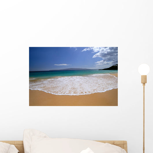 Lanai Background A47C Wall Mural