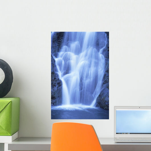 Rushing Action A20D Wall Mural