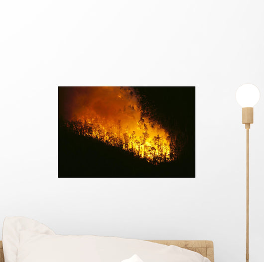 Nighttime A24F Wall Mural