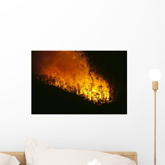 Nighttime A24F Wall Mural