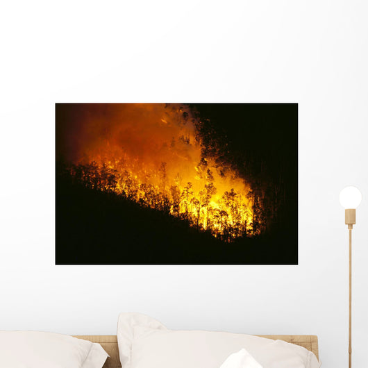 Nighttime A24F Wall Mural