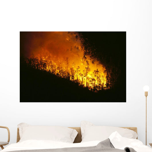 Nighttime A24F Wall Mural