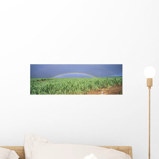 Full Length Panoramic A21D Wall Mural