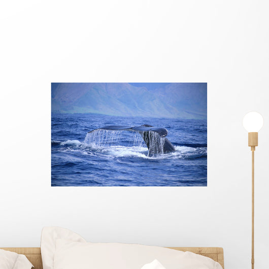 Hawaii, Close-Up Of Humpback Whale, Fluke A94H Wall Mural