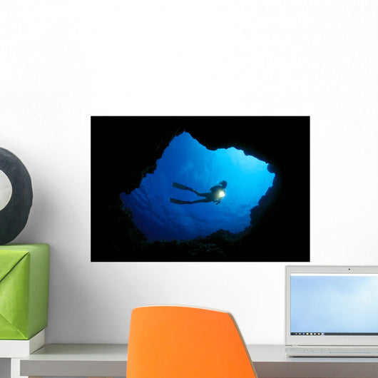 Silhouette A81E Wall Mural