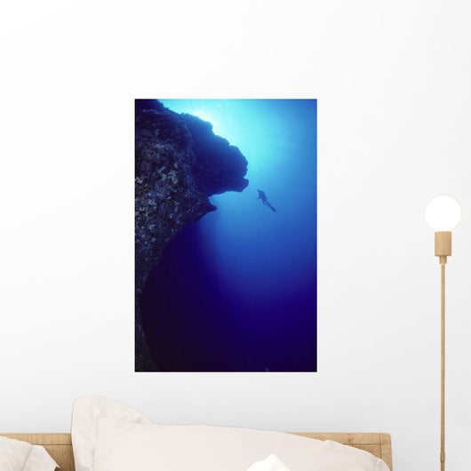 Silhouette A81G Wall Mural