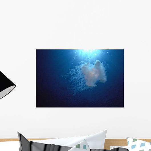 Midwater In Blue Ocean Backlit By Sunburst A88C Wall Mural