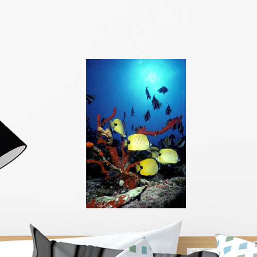 Backlit Fish By Sunburst A83E Wall Mural