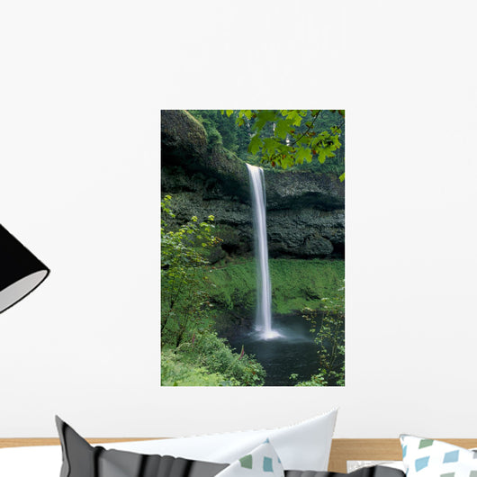 Oregon, Silver Falls National Park, South Falls, B1653 Wall Mural