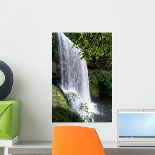Oregon, Silver Falls State Park, Lower South Falls, B1648 Wall Mural